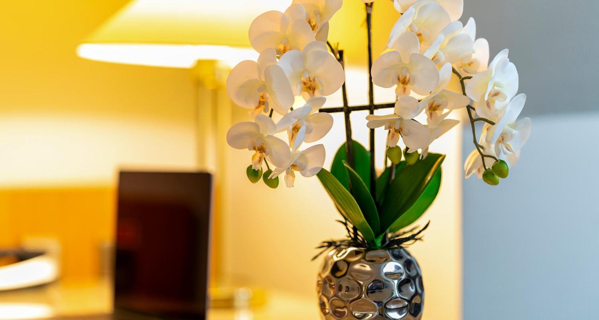 Plaza Inn Blankenburg Ditzingen, Sure Hotel Collection Εξωτερικό φωτογραφία